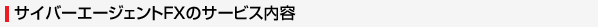 �T�C�o�[�G�[�W�F���gFX�̃T�[�r�X���e